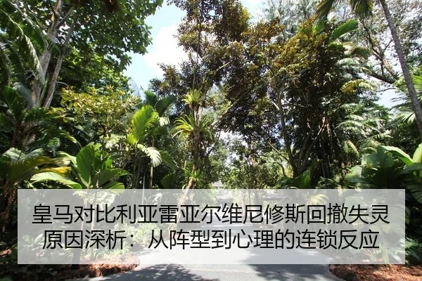 皇马对比利亚雷亚尔维尼修斯回撤失灵原因深析：从阵型到心理的连锁反应